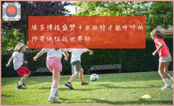 埃芬博格盛赞卡尔独特才能呼吁纳帅带他征战世界杯