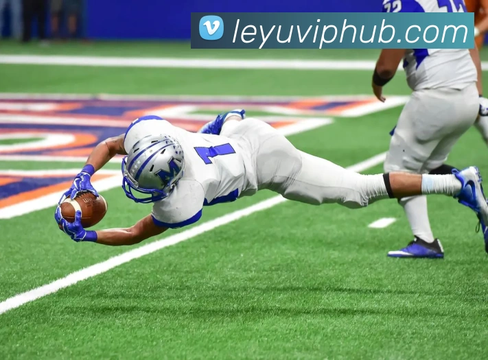 乐鱼体育发展历程